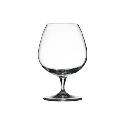 Premium Cognac Glass Set