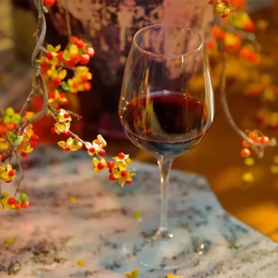 Electra Extra Large Wine Glass Set