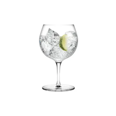 Big Gin & Tonic Glasses Set
