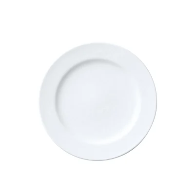 Contemporary Fine China Dinner Plate
